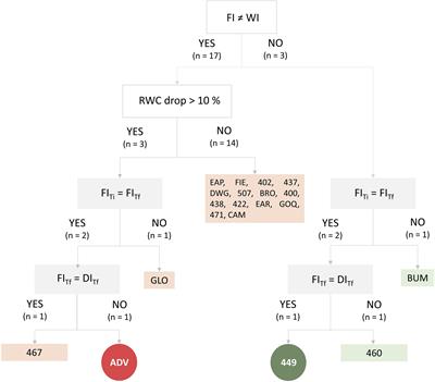 Tomato Cultivars With Variable Tolerances to Water Deficit Differentially Modulate the Composition and Interaction Patterns of Their Rhizosphere Microbial Communities